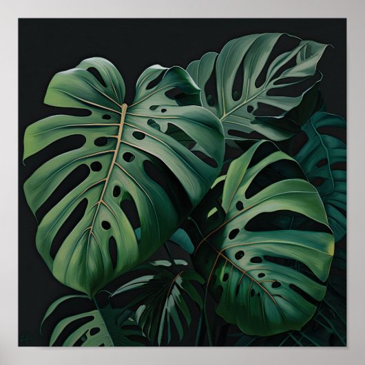Monstera verlaat Art Print Poster (Voorkant)