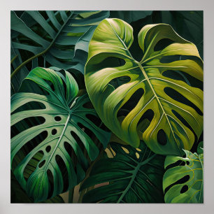 Monstera verlaat Art Print Poster