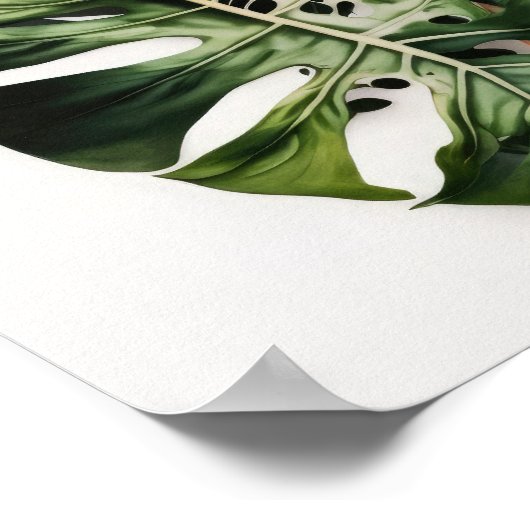 Monstera verlaat Art Print Poster (Hoek)