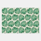 Monstera verlaat patroon inpakpapier vel (Voorkant 2)