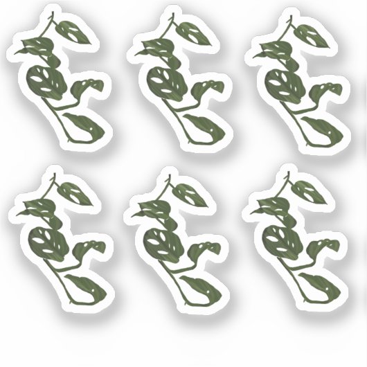 Monstera Vine Plant Drawing Design Sticker (Voorkant)