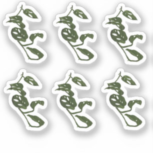 Monstera Wingerd Plant Tekening Ontwerp Sticker