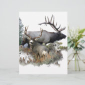 Monsterboltrofee (Staand voorkant)