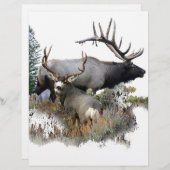 Monsterboltrofee (Voorkant / Achterkant)