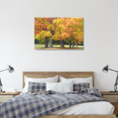 Monsterbomen in herfstkleuren, nabij Concord; Canvas Afdruk (Insitu (Slaapkamer))
