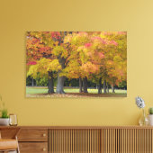 Monsterbomen in herfstkleuren, nabij Concord; Canvas Afdruk (Insitu (Woonkamer))