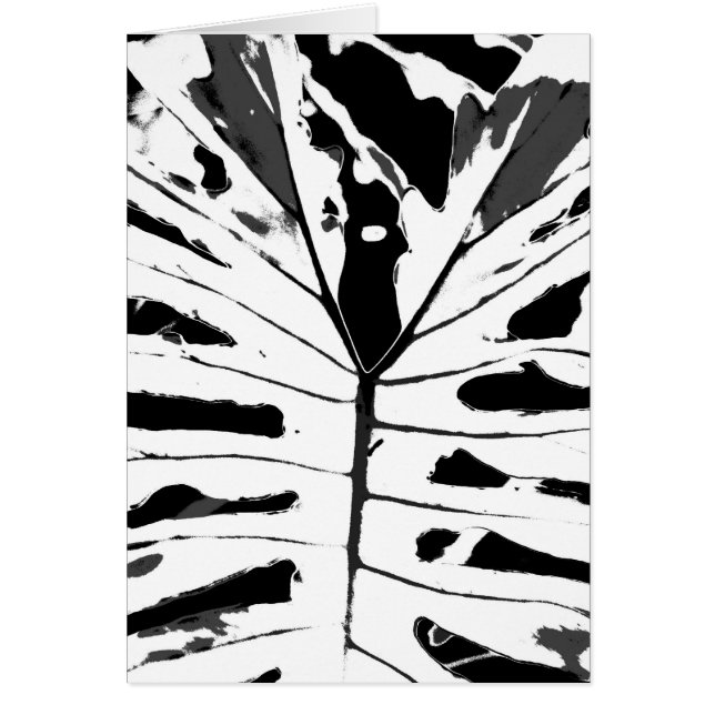 Monstereo Leaf (Voorkant)