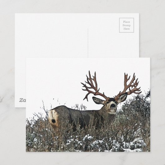 Monstermuildier hert. 2 briefkaart (Voorkant / Achterkant)