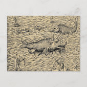 Monsters van Narwhal en Medieval Zee Briefkaart (Voorkant)