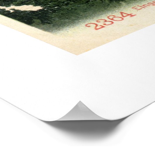 Mont Blanc-uitzicht vanaf de route Flégère Poster (Hoek)