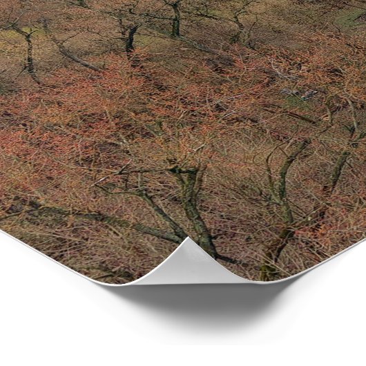 Mont Clare Schuylkill Poster (Hoek)