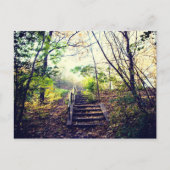 Mont-Royal automne Briefkaart (Voorkant)