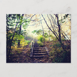 Mont-Royal automne Briefkaart