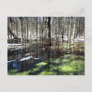 Mont-Royal Briefkaart