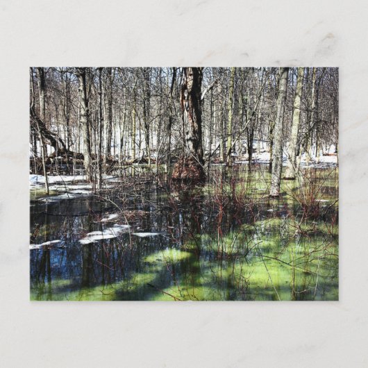 Mont-Royal Briefkaart (Voorkant)