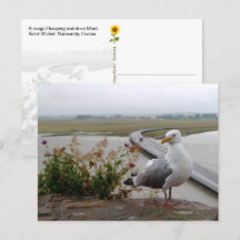 Mont-Saint-Michel Lookout, Normandië, Frankrijk