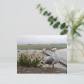 Mont-Saint-Michel Lookout, Normandië, Frankrijk Briefkaart (Staand voorkant)