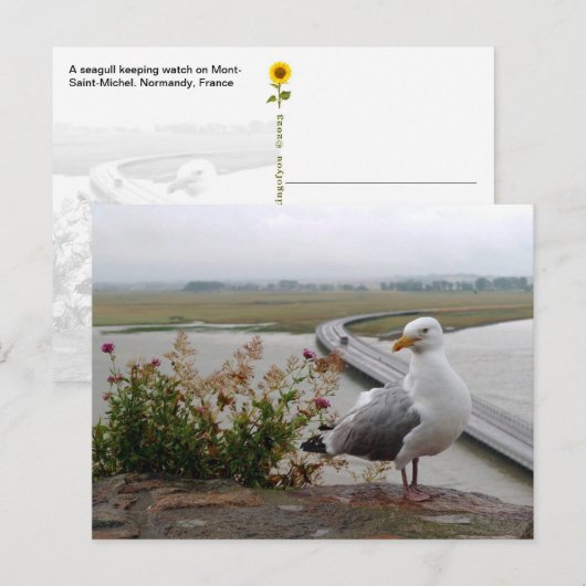 Mont-Saint-Michel Lookout, Normandië, Frankrijk Briefkaart (Voorkant / Achterkant)