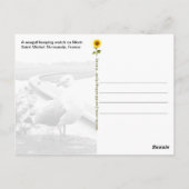 Mont-Saint-Michel Lookout, Normandië, Frankrijk Briefkaart (Achterkant)