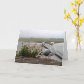 Mont-Saint-Michel Lookout, Normandië, Frankrijk -  Kaart (Gele Bloem)