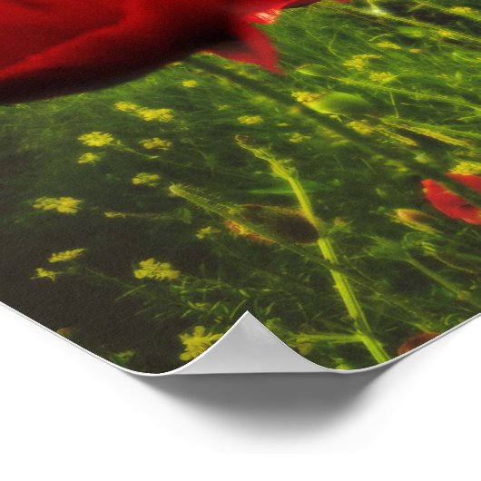 Mont St Michel France Fairy Tale Castle Poster (Hoek)