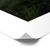 MONT ST MICHEL POSTER (Hoek)