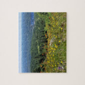 Mont Tremblant - puzzel Legpuzzel (Verticaal)