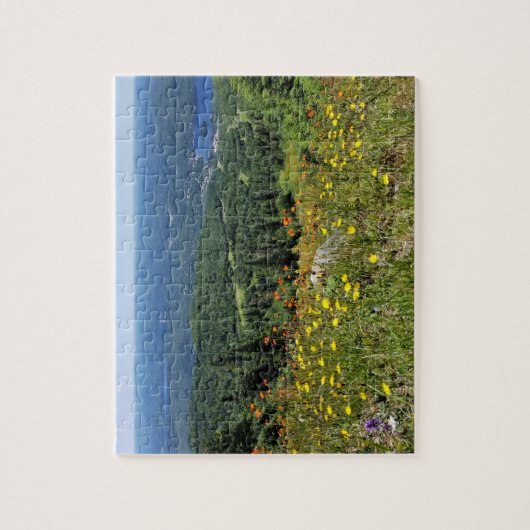 Mont Tremblant - puzzel Legpuzzel (Verticaal)