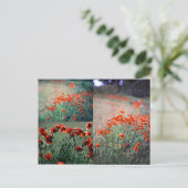 Montage papavers | BRIEFKAART (Staand voorkant)