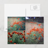 Montage papavers | BRIEFKAART (Voorkant / Achterkant)