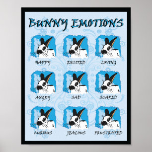 MONTAGE-UITDRUKKINGEN POSTER