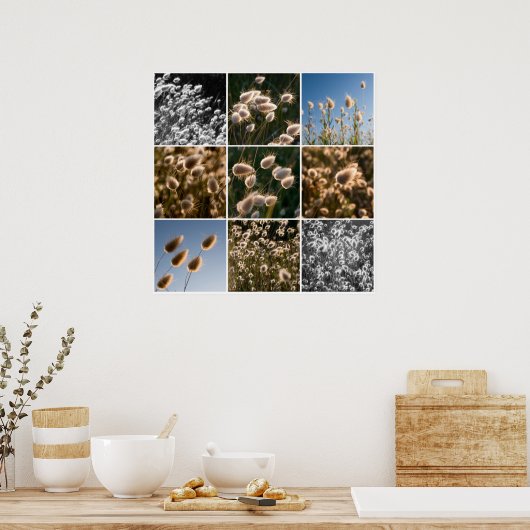 montage van katoengras poster (Keuken)
