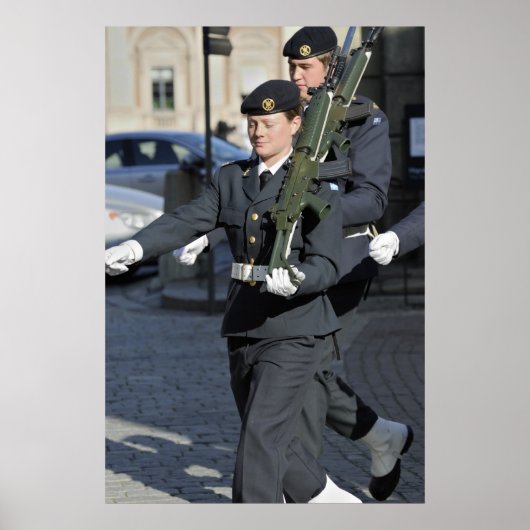 Montagebeveiliging Poster (Voorkant)