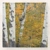 Montana Autumn Glass Onderzetter (Voorkant)