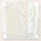 Montana Autumn Glass Onderzetter (Achterkant)