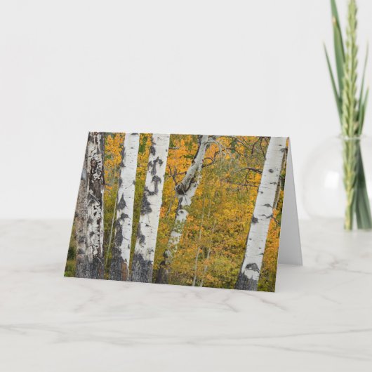 Montana Autumn Notecard Kaart (Voorkant)