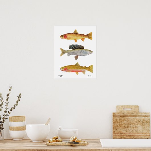 Montana Beauties Poster (Keuken)