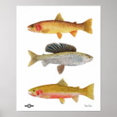 Montana Beauties Poster (Voorkant)