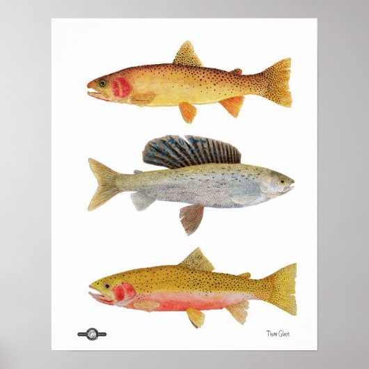 Montana Beauties Poster (Voorkant)