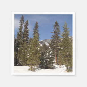 Montana Bergpaden in Winterlandschap Foto Servet