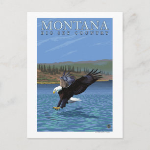 Montana - Big Sky CountryDiving Eagle Briefkaart