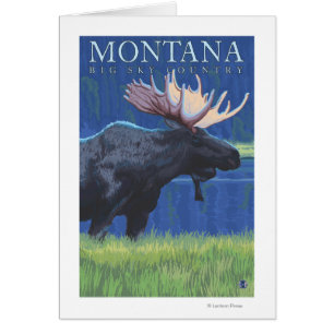 Montana — Big Sky CountryMoose in Moonlight