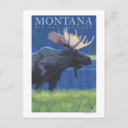 Montana — Big Sky CountryMoose in Moonlight Briefkaart (Voorkant)