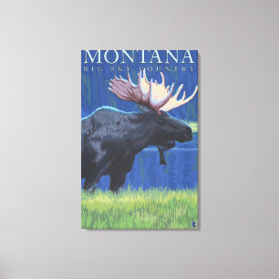 Montana — Big Sky CountryMoose in Moonlight Canvas Afdruk