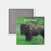 Montana Bison magnet (Voorkant / Achterkant)