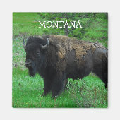 Montana Bison magnet (Voorkant)