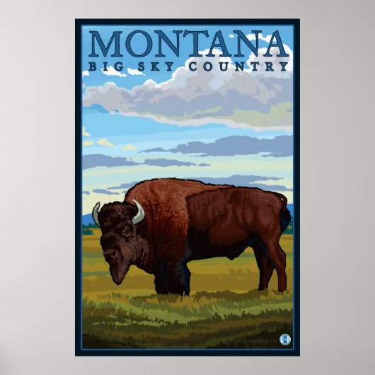 Montana - Bison Poster (Voorkant)