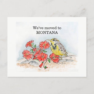 Montana Briefkaart