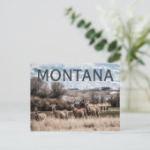 MONTANA BRIEFKAART (Staand voorkant)