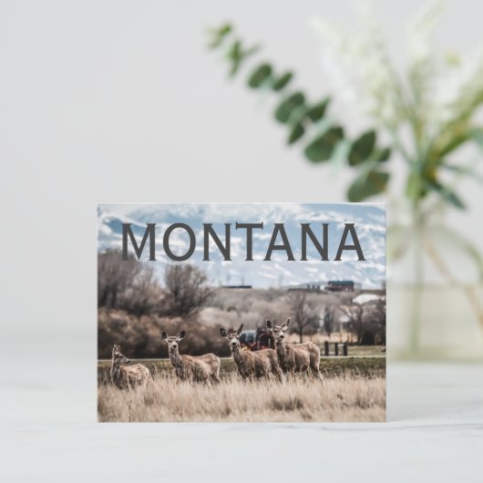 MONTANA BRIEFKAART (Staand voorkant)